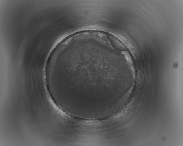 X0000093750998200711061044