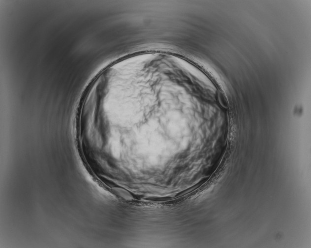 X0000093750999200711061044