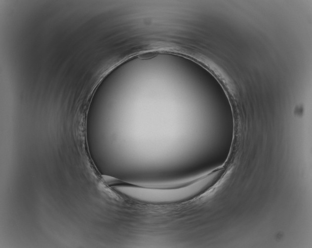 X0000093751001200711061044