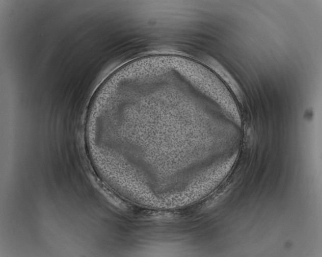 X0000093751002200711061044