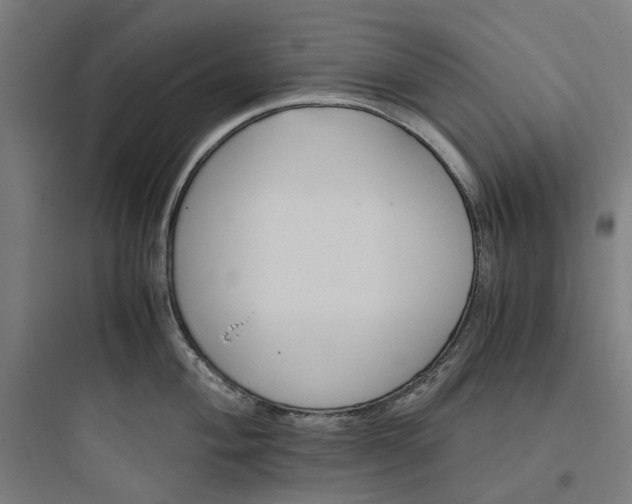 X0000093751004200711061044