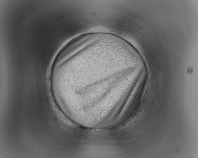 X0000093751008200711061044