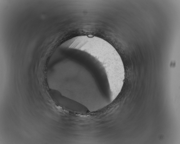 X0000093751009200711061043