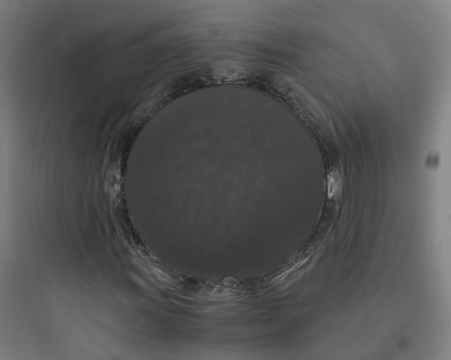 X0000093751011200711061043