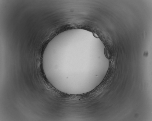 X0000093751012200711061043