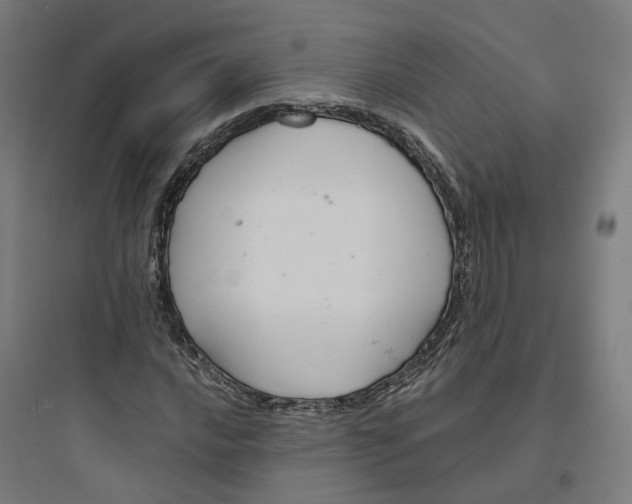 X0000093751016200711061043