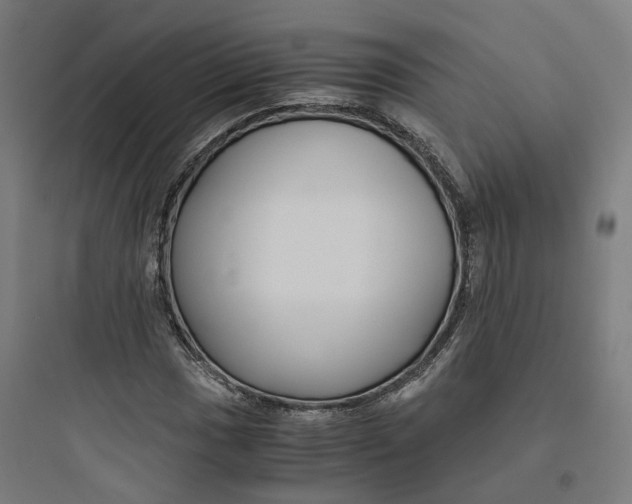 X0000093751017200711061043