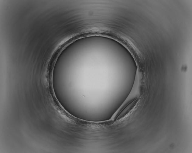 X0000093751018200711061043