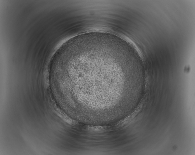 X0000093751019200711061043