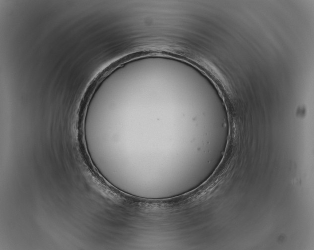 X0000093751020200711061043