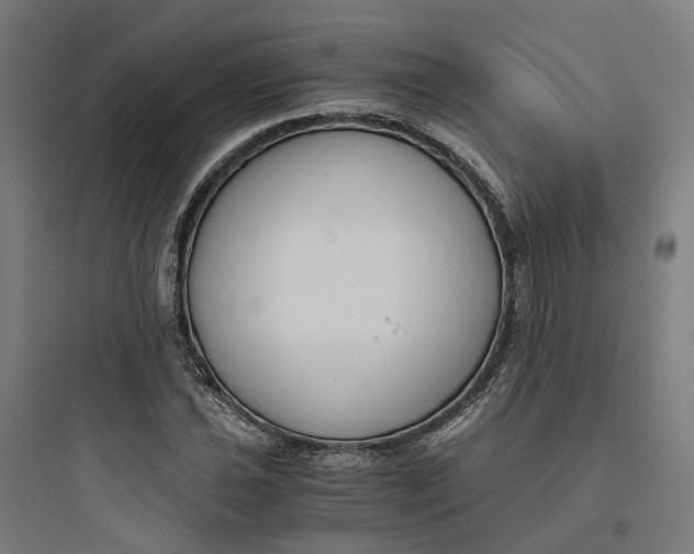 X0000093751021200711061043