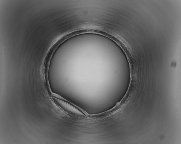 X0000093751022200711061043