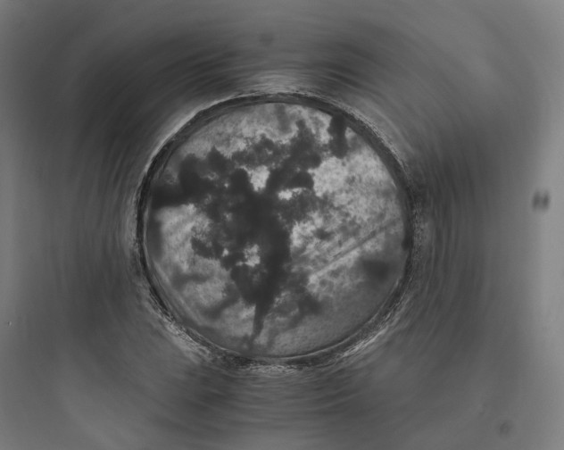 X0000093751023200711061043
