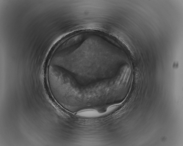 X0000093751024200711061043