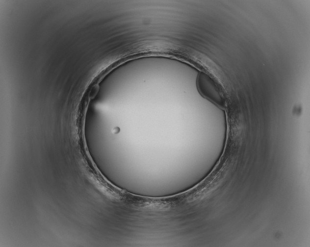 X0000093751026200711061043