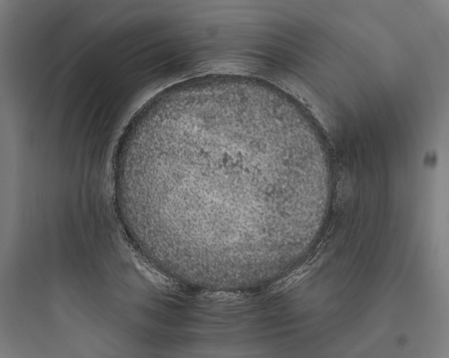 X0000093751027200711061043
