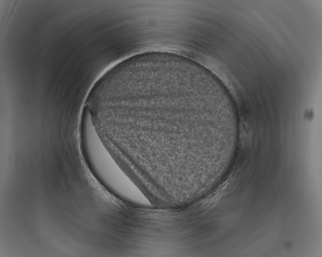 X0000093751028200711061043