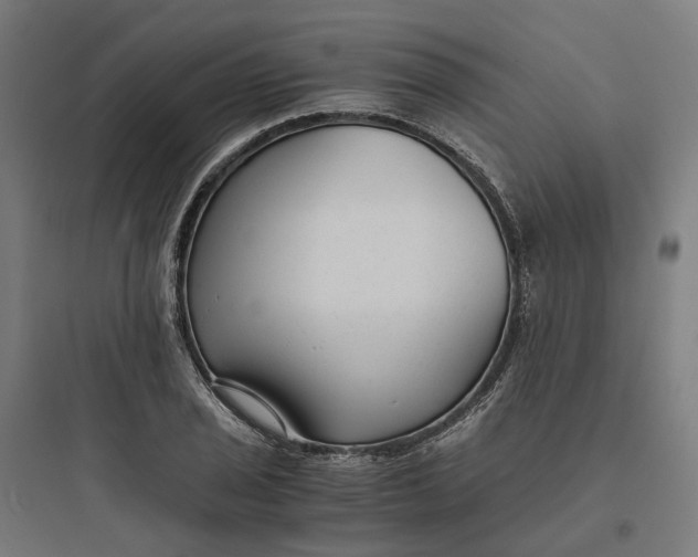 X0000093751029200711061043