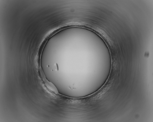 X0000093751030200711061043
