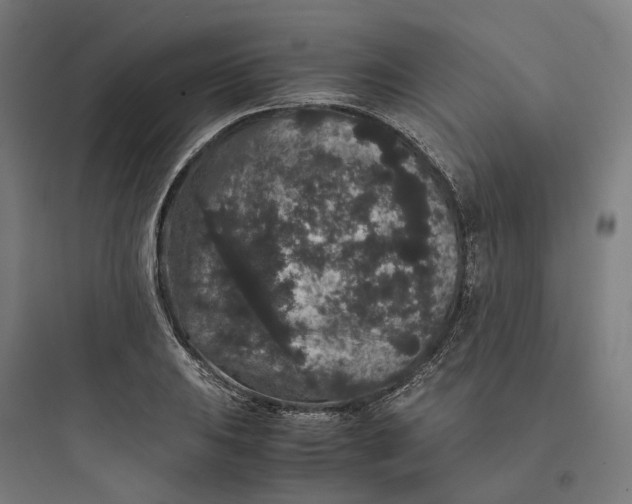 X0000093751031200711061043