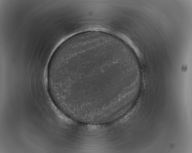 X0000093751032200711061043