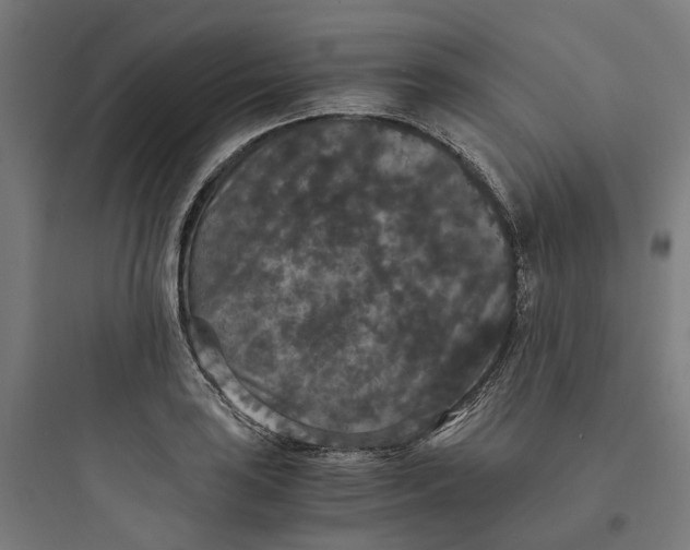 X0000093751035200711061043