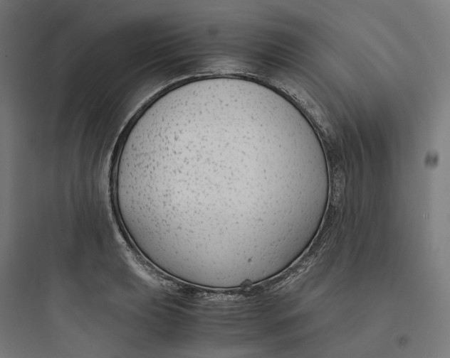 X0000093751039200711061043