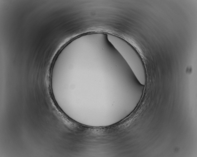 X0000093751040200711061043