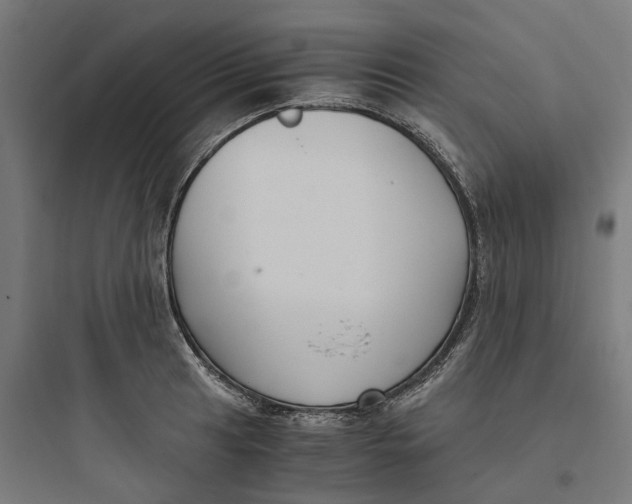 X0000093751041200711061043