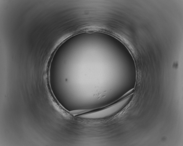 X0000093751042200711061043