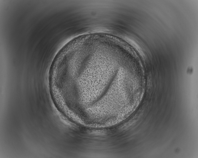 X0000093751047200711061043