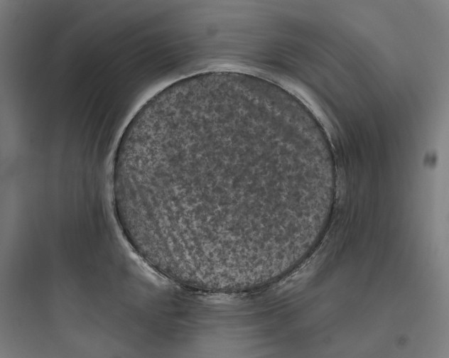 X0000093751048200711061043