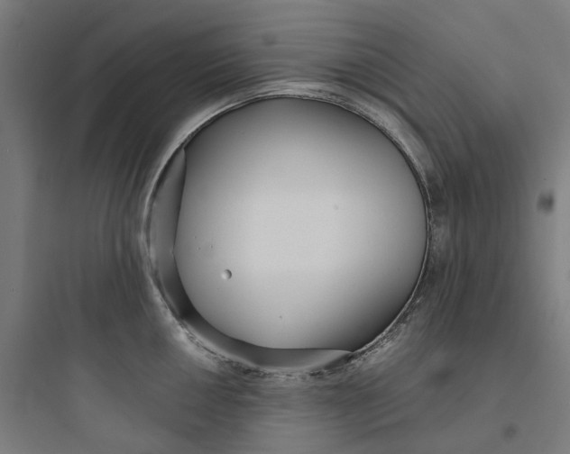 X0000093751050200711061044