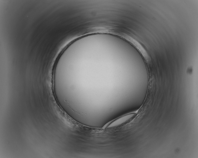 X0000093751051200711061044