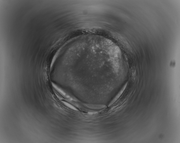 X0000093751060200711061043