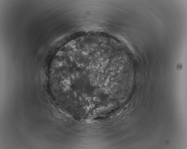 X0000093751063200711061043