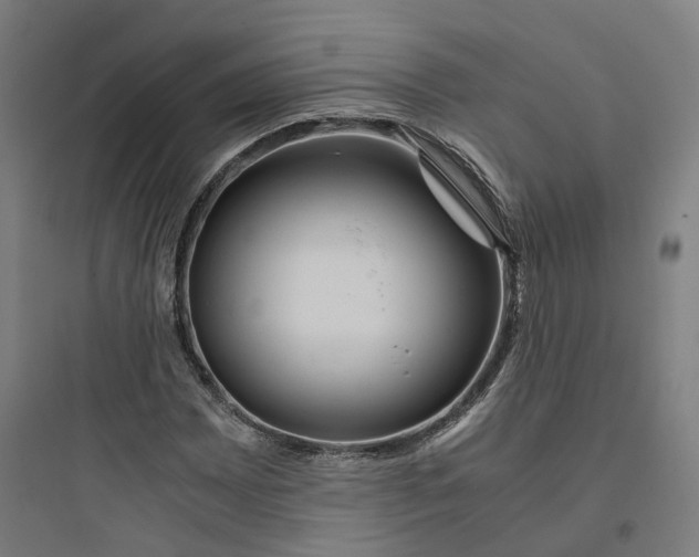 X0000093751065200711061043