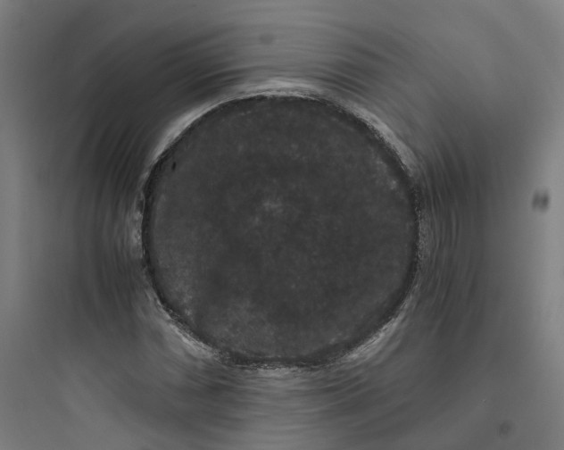 X0000093751066200711061043