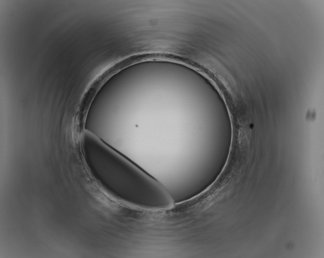 X0000093751069200711061043