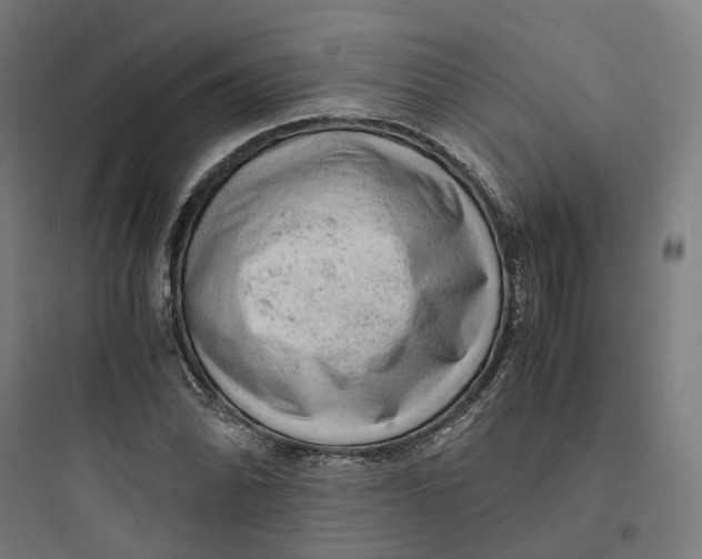 X0000093751070200711061043