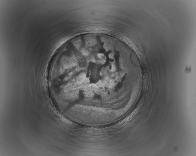 X0000093751071200711061043