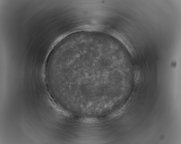 X0000093751074200711061043