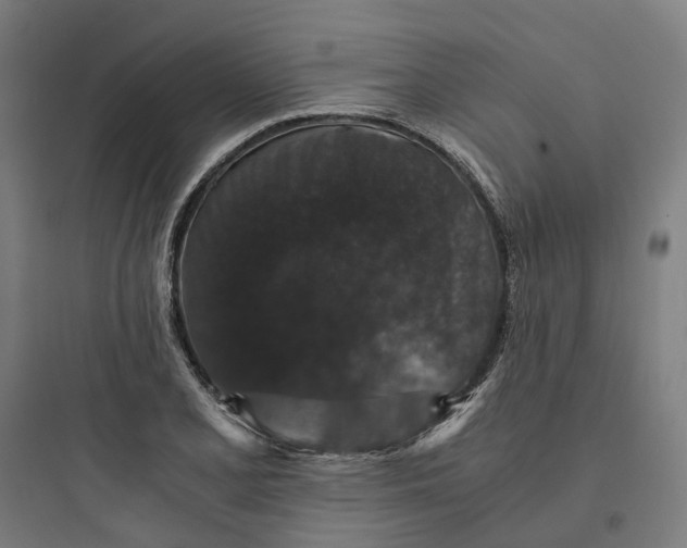 X0000093751077200711061042