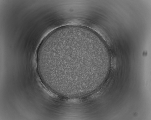 X0000093751078200711061042