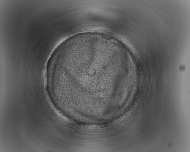 X0000093751079200711061042