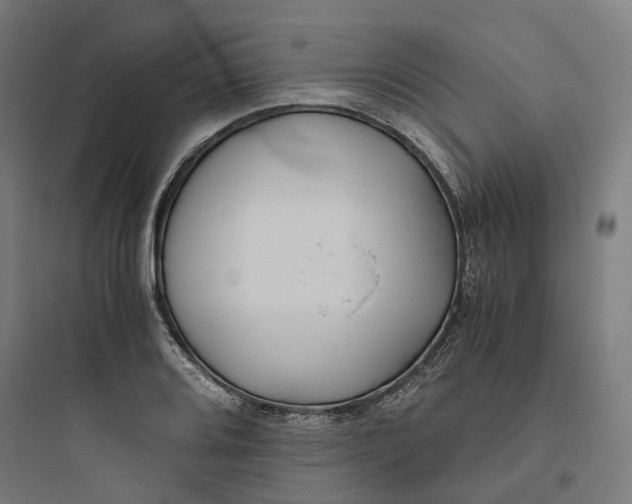 X0000093751080200711061042