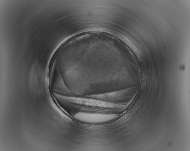 X0000093751084200711061042