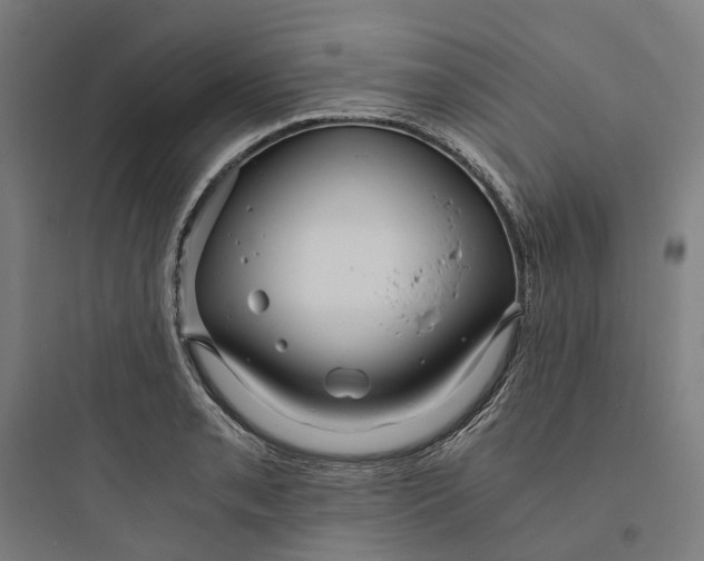 X0000093751085200711061042