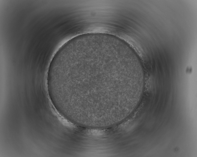 X0000093751086200711061042