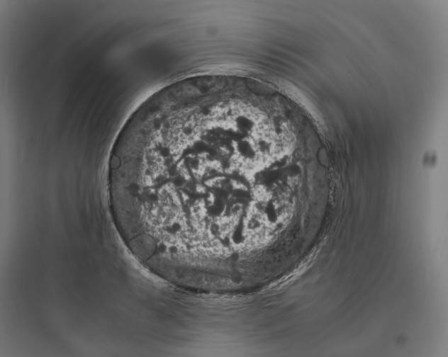 X0000093751087200711061042
